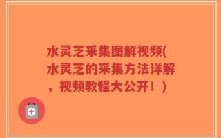 水灵芝采集图解视频(水灵芝的采集方法详解，视频教程大公开！)