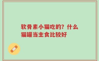 软骨素小猫吃的？什么猫罐当主食比较好