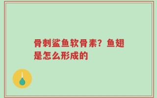 骨刺鲨鱼软骨素？鱼翅是怎么形成的