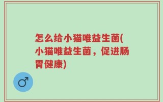 怎么给小猫唯益生菌(小猫唯益生菌，促进肠胃健康)