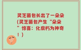 灵芝菌包长出了一朵朵(灵芝菌包产生“朵朵”惊喜：化腐朽为神奇！)
