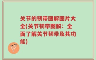 关节的韧带图解图片大全(关节韧带图解：全面了解关节韧带及其功能)