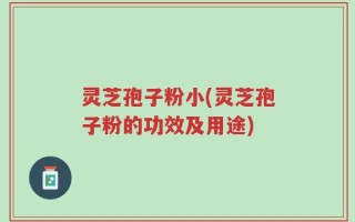 灵芝孢子粉小(灵芝孢子粉的功效及用途)