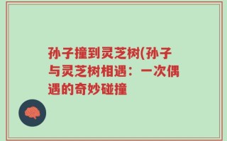 孙子撞到灵芝树(孙子与灵芝树相遇：一次偶遇的奇妙碰撞