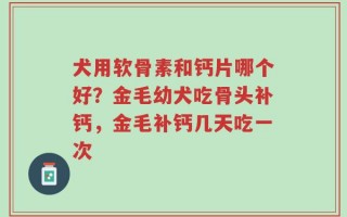 犬用软骨素和钙片哪个好？金毛幼犬吃骨头补钙，金毛补钙几天吃一次
