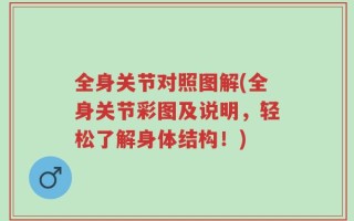 全身关节对照图解(全身关节彩图及说明，轻松了解身体结构！)