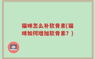 猫咪怎么补软骨素(猫咪如何增加软骨素？)