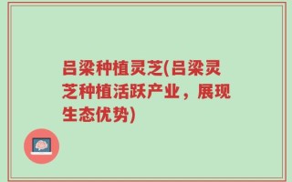 吕梁种植灵芝(吕梁灵芝种植活跃产业，展现生态优势)