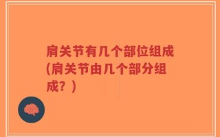 肩关节有几个部位组成(肩关节由几个部分组成？)