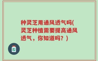 种灵芝用通风透气吗(灵芝种植需要提高通风透气，你知道吗？)