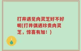 打井遇见肉灵芝好不好呢(打井偶遇珍贵肉灵芝，惊喜有加！)