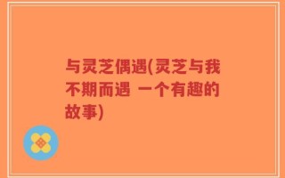 与灵芝偶遇(灵芝与我不期而遇 一个有趣的故事)