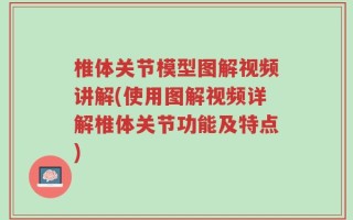 椎体关节模型图解视频讲解(使用图解视频详解椎体关节功能及特点)