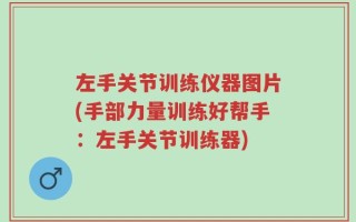 左手关节训练仪器图片(手部力量训练好帮手：左手关节训练器)