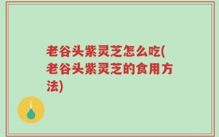 老谷头紫灵芝怎么吃(老谷头紫灵芝的食用方法)