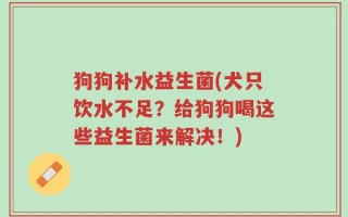 狗狗补水益生菌(犬只饮水不足？给狗狗喝这些益生菌来解决！)