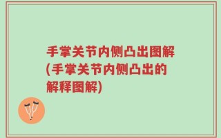 手掌关节内侧凸出图解(手掌关节内侧凸出的解释图解)