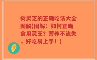 树灵芝的正确吃法大全图解(图解：如何正确食用灵芝？营养不流失，好吃易上手！)