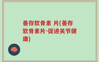 善存软骨素 片(善存软骨素片-促进关节健康)