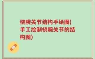 桡腕关节结构手绘图(手工绘制桡腕关节的结构图)