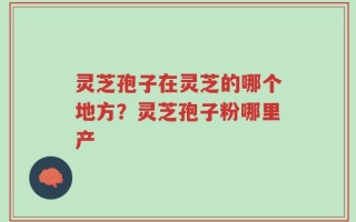 灵芝孢子在灵芝的哪个地方？灵芝孢子粉哪里产