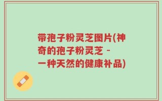 带孢子粉灵芝图片(神奇的孢子粉灵芝 - 一种天然的健康补品)
