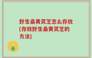 野生桑黄灵芝怎么存放(存放野生桑黄灵芝的方法)