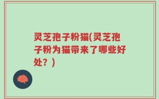 灵芝孢子粉猫(灵芝孢子粉为猫带来了哪些好处？)