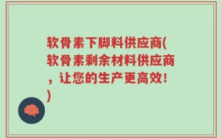 软骨素下脚料供应商(软骨素剩余材料供应商，让您的生产更高效！)