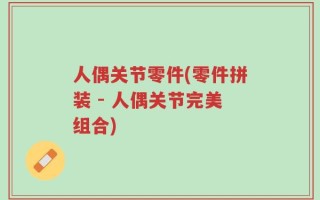 人偶关节零件(零件拼装 - 人偶关节完美组合)