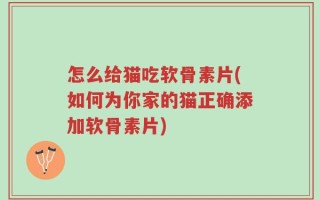 怎么给猫吃软骨素片(如何为你家的猫正确添加软骨素片)