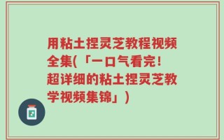 用粘土捏灵芝教程视频全集(「一口气看完！超详细的粘土捏灵芝教学视频集锦」)