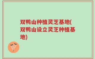 双鸭山种植灵芝基地(双鸭山设立灵芝种植基地)