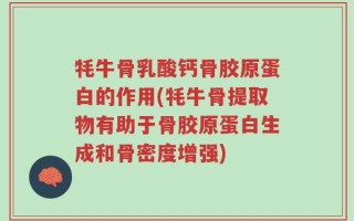牦牛骨乳酸钙骨胶原蛋白的作用(牦牛骨提取物有助于骨胶原蛋白生成和骨密度增强)