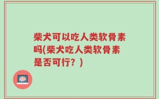 柴犬可以吃人类软骨素吗(柴犬吃人类软骨素是否可行？)