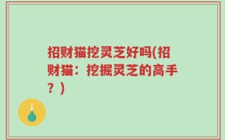 招财猫挖灵芝好吗(招财猫：挖掘灵芝的高手？)