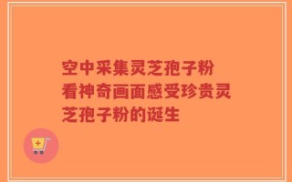 空中采集灵芝孢子粉 看神奇画面感受珍贵灵芝孢子粉的诞生