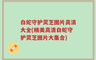 白蛇守护灵芝图片高清大全(精美高清白蛇守护灵芝图片大集合)