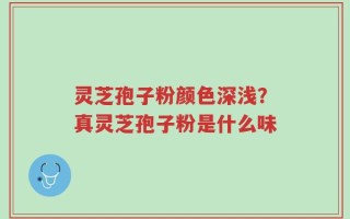 灵芝孢子粉颜色深浅？真灵芝孢子粉是什么味
