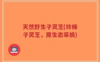 天然野生子灵芝(珍稀子灵芝，原生态采摘)