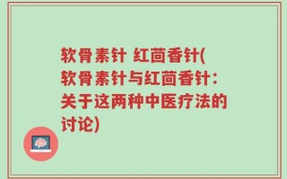软骨素针 红茴香针(软骨素针与红茴香针：关于这两种中医疗法的讨论)