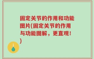 固定关节的作用和功能图片(固定关节的作用与功能图解，更直观！)