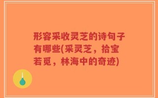 形容采收灵芝的诗句子有哪些(采灵芝，拾宝若觅，林海中的奇迹)