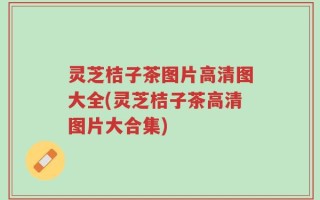 灵芝桔子茶图片高清图大全(灵芝桔子茶高清图片大合集)