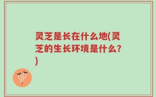 灵芝是长在什么地(灵芝的生长环境是什么？)