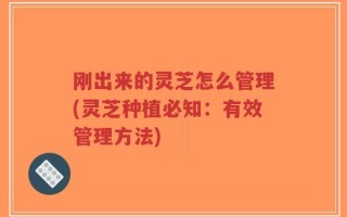 刚出来的灵芝怎么管理(灵芝种植必知：有效管理方法)