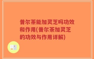普尔茶能加灵芝吗功效和作用(普尔茶加灵芝的功效与作用详解)