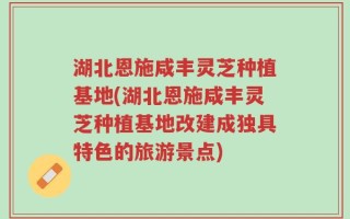 湖北恩施咸丰灵芝种植基地(湖北恩施咸丰灵芝种植基地改建成独具特色的旅游景点)