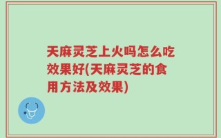 天麻灵芝上火吗怎么吃效果好(天麻灵芝的食用方法及效果)