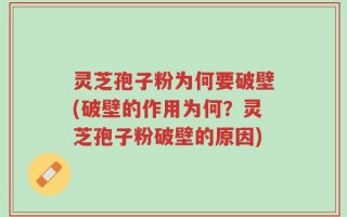 灵芝孢子粉为何要破壁(破壁的作用为何？灵芝孢子粉破壁的原因)